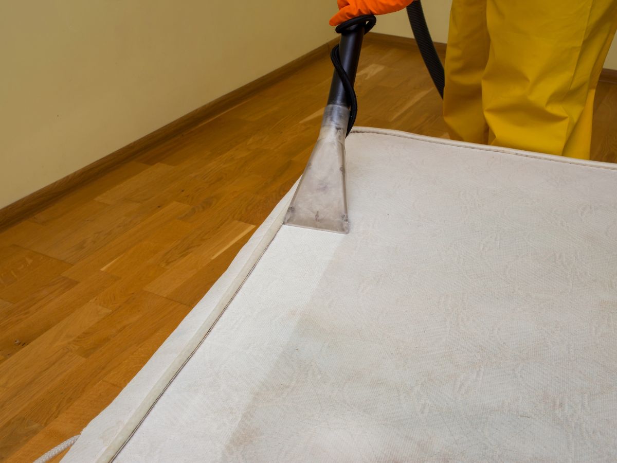 Professionally Steam cleaning mattress