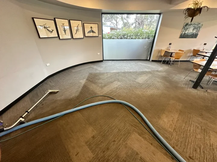 Blue Water Hotel Carpet Cleaning