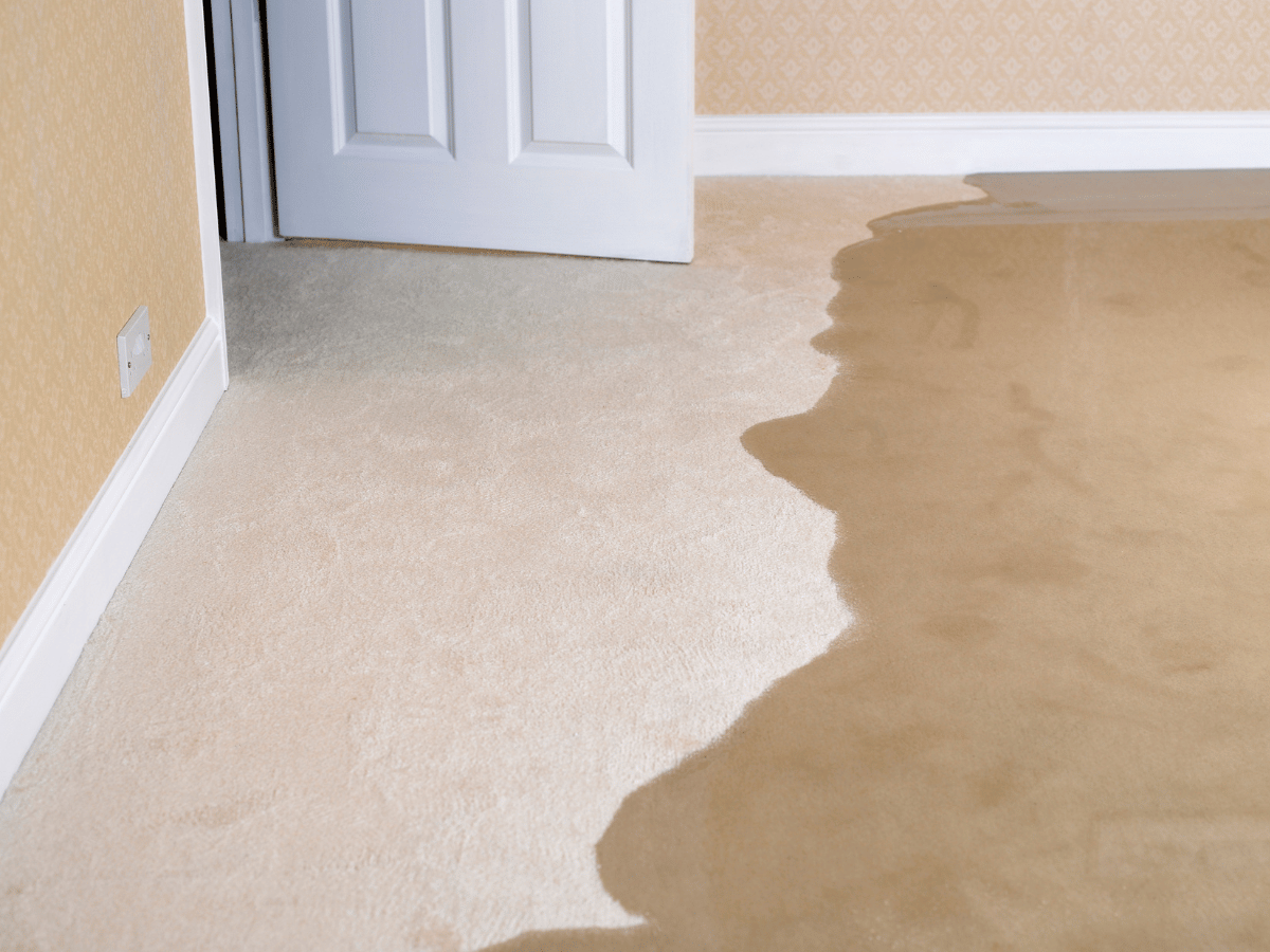 Carpet flood damage