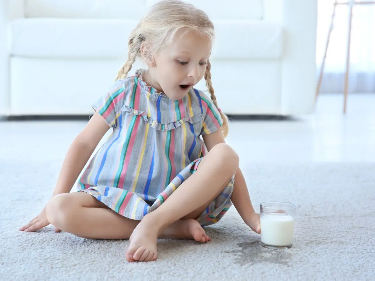 Child spilling milk on carpet