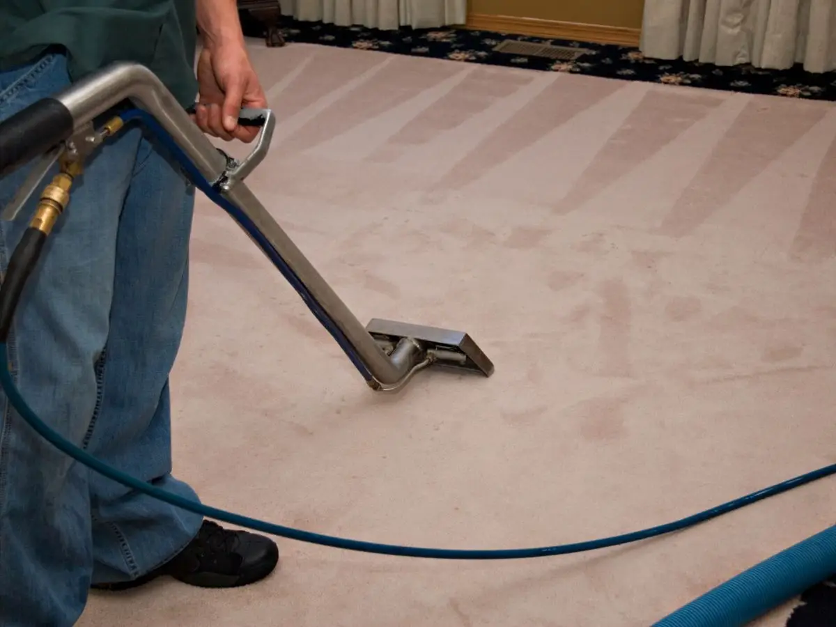 Cleaning carpet Mould