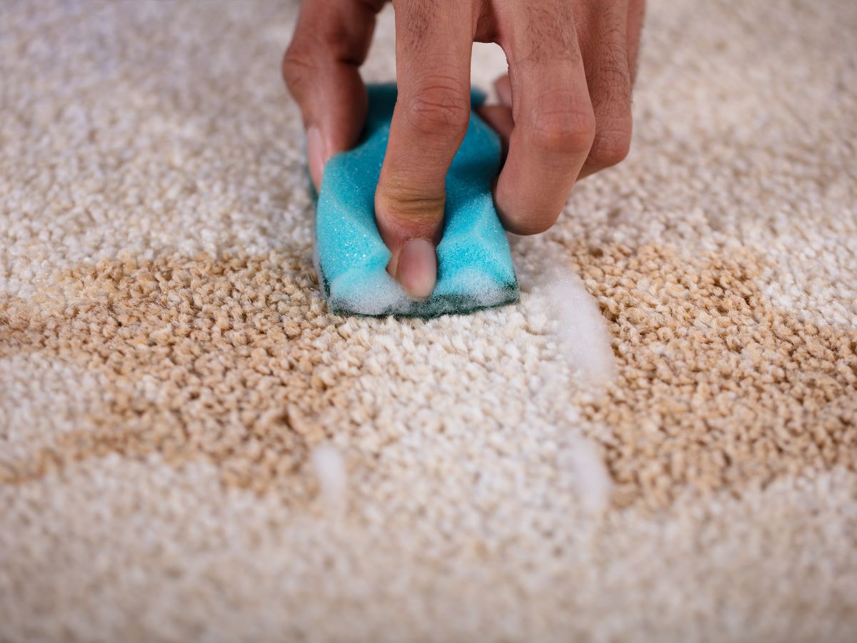 Coffee being removed from carpet