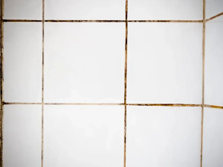 Dirty tiles and grout