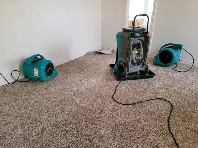 Drying Carpets