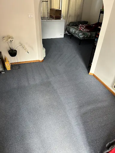 Geilston Bay Rental Carpet Clean