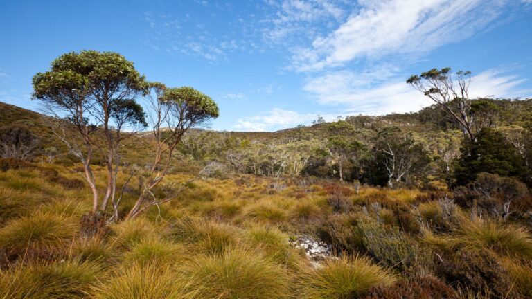 Glenorchy, Tasmania