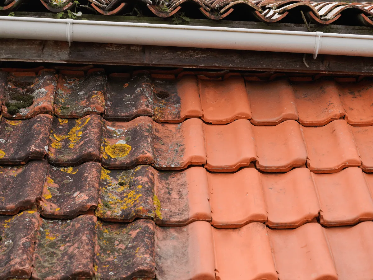 High Pressure Cleaning Roof