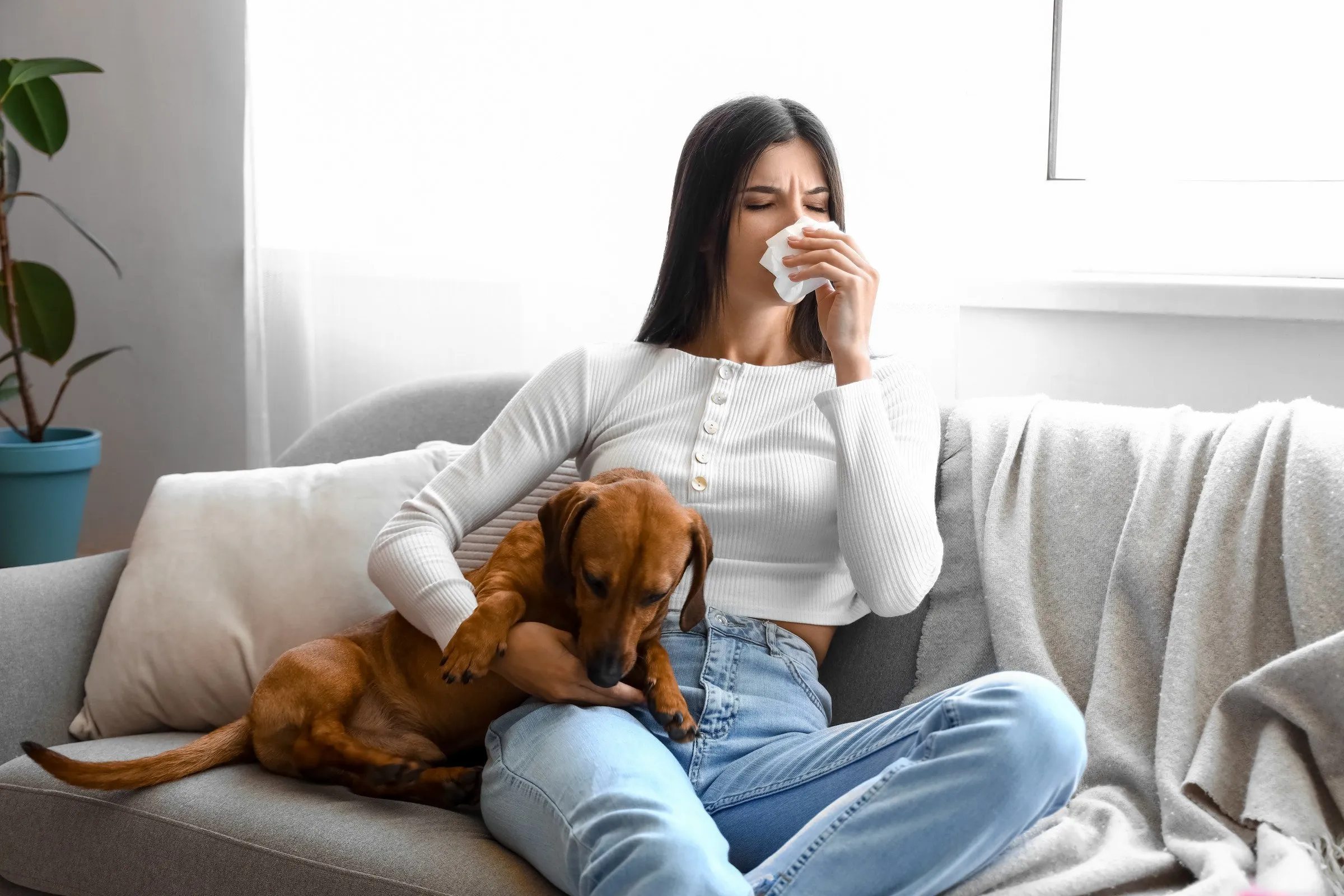 A woman sitting on her couch with her dog at home with allergy symptoms