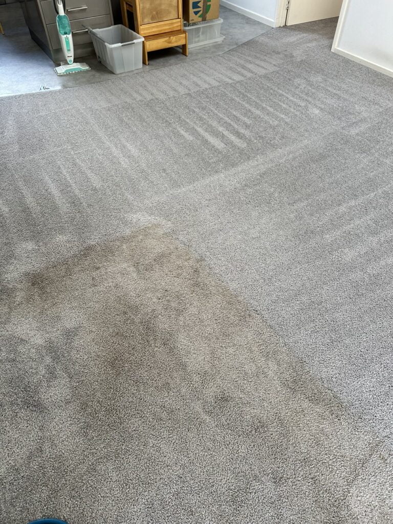 Kingston New Home Carpet Clean