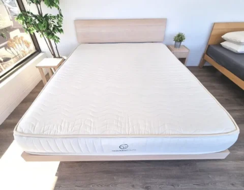 Mattress Steam Cleaning