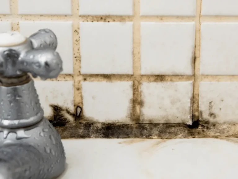 Mould in sink grout