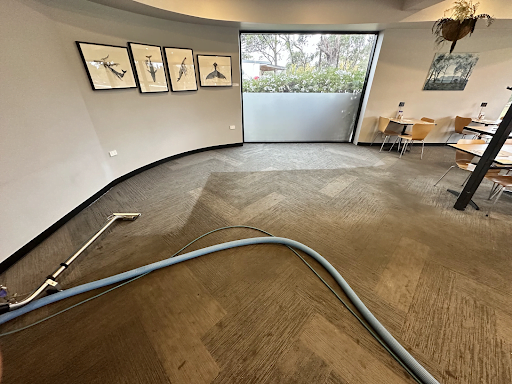 Office Carpet Cleaning