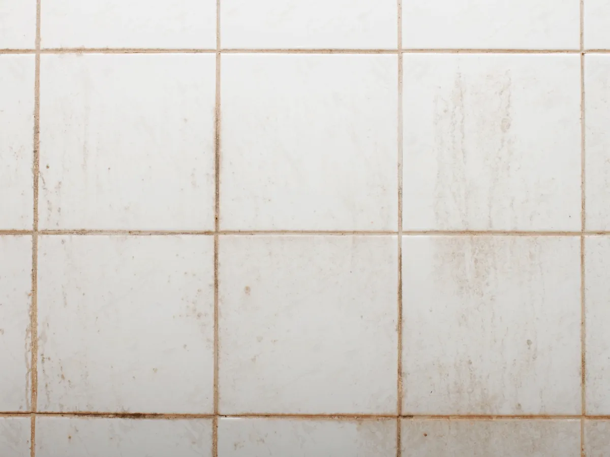 Pink Mould in Tiles