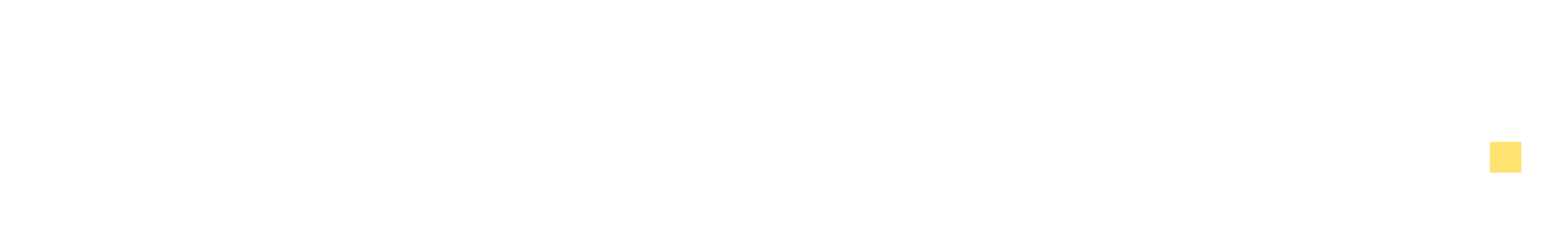 Steam Clean Team Logo White