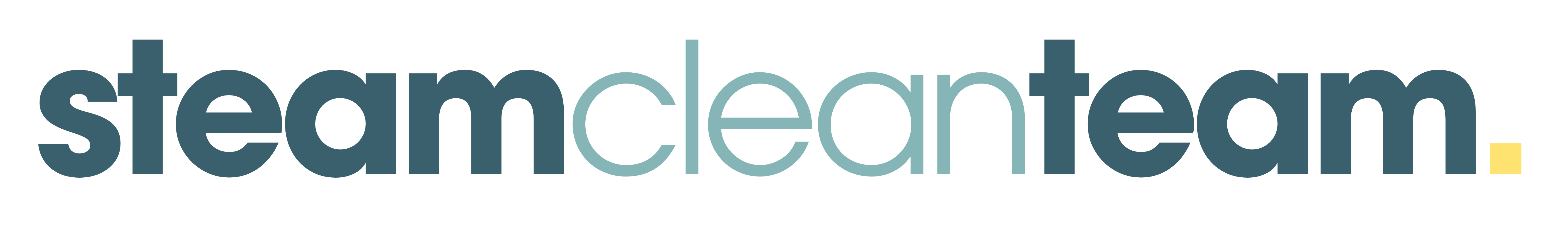 Steam Clean Team logo