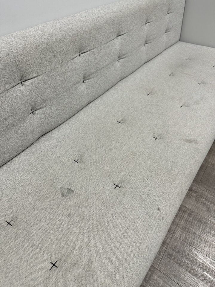 Steam Cleaned Couch