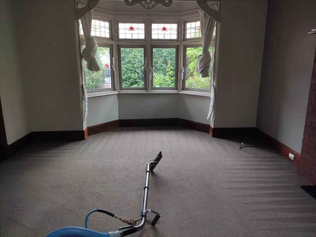 How to Clean Vomit Off Carpet Guide Steam Clean Team