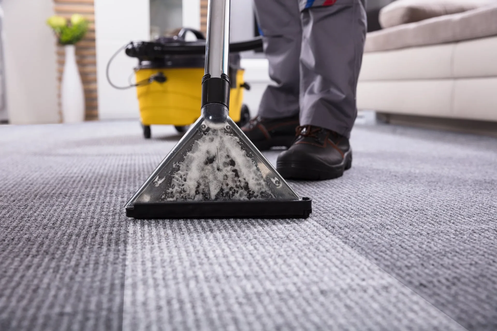 Steam cleaning carpet to remove allergens