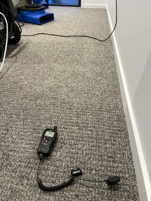 Testing carpet