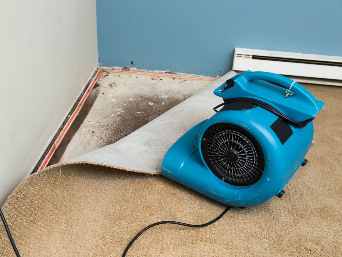 Using a fan to dry undeneath carpet