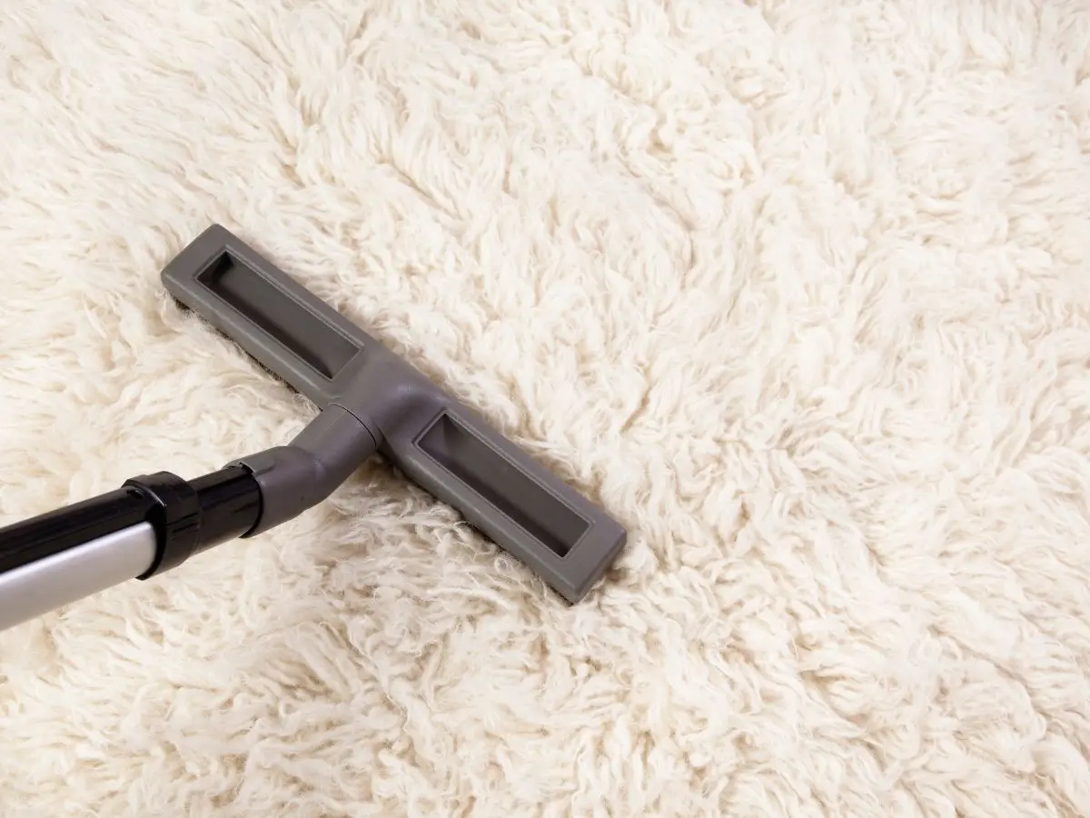 Vacuuming white shag rug