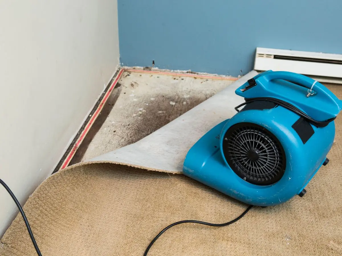 Water damage dehumidifier drying wet carpet