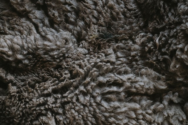 Wool Carpet