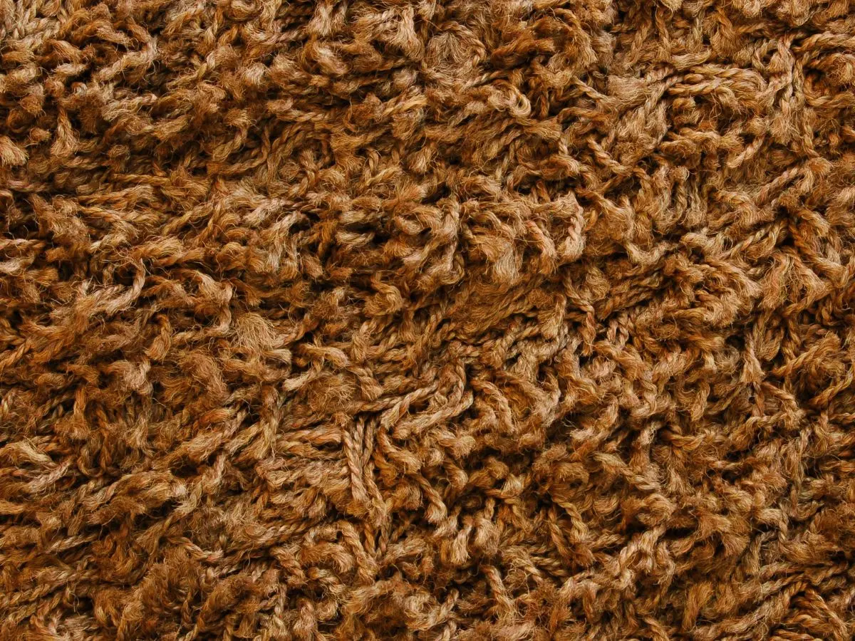 brown shag rug