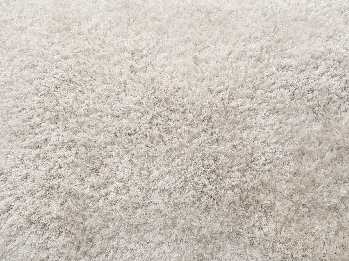 clean wool carpet