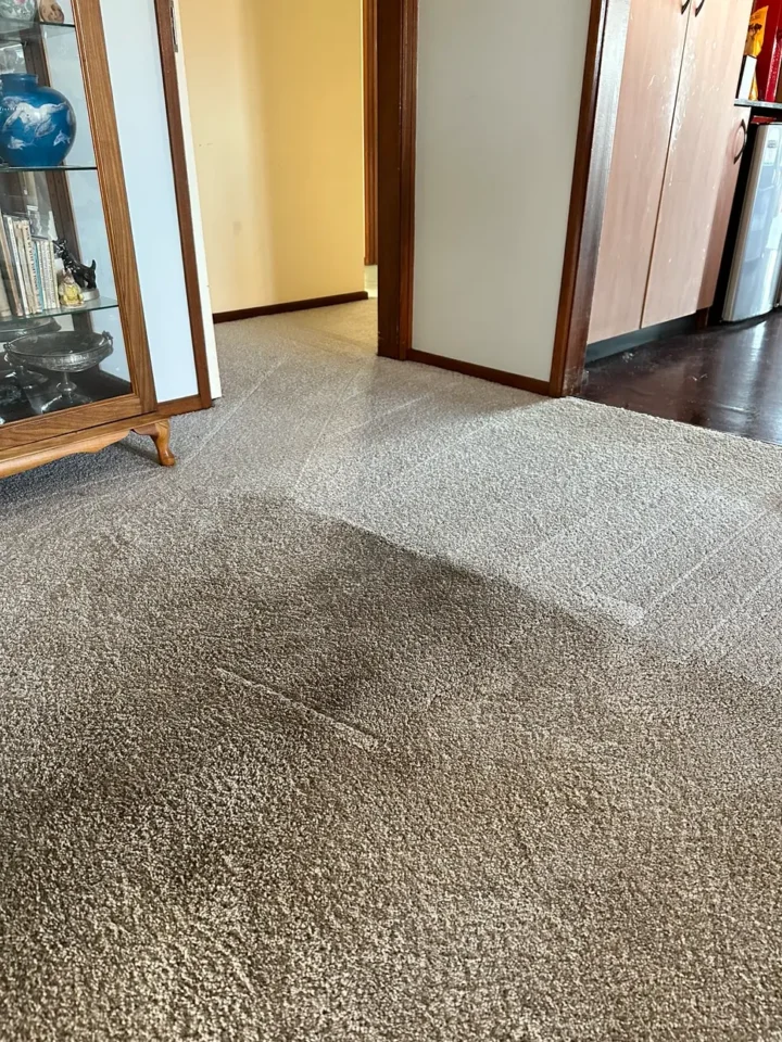 cleaning carpet mt struart