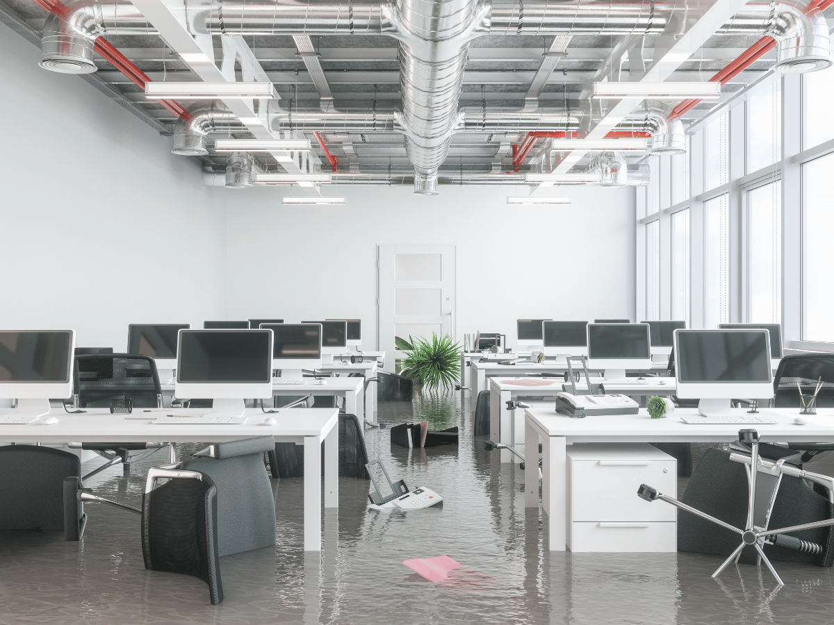 commercial office carpet flood