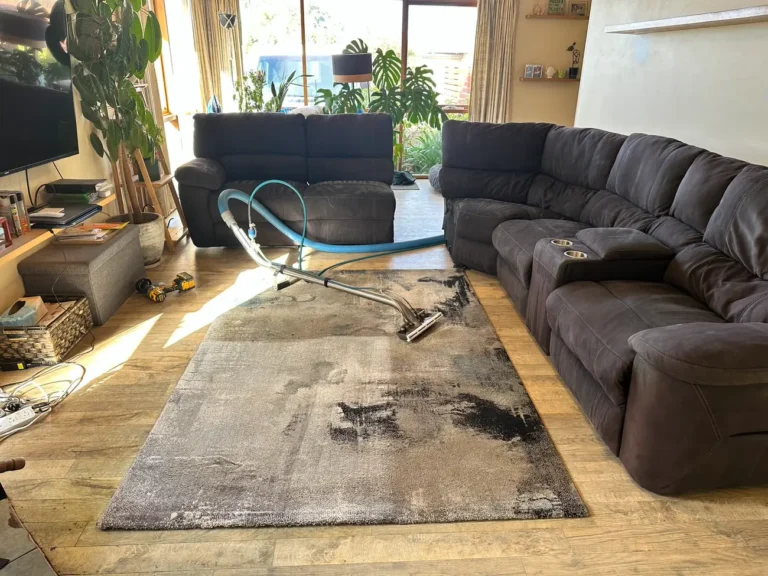 Residential Couch and Rug Steam Clean Blackmans Bay