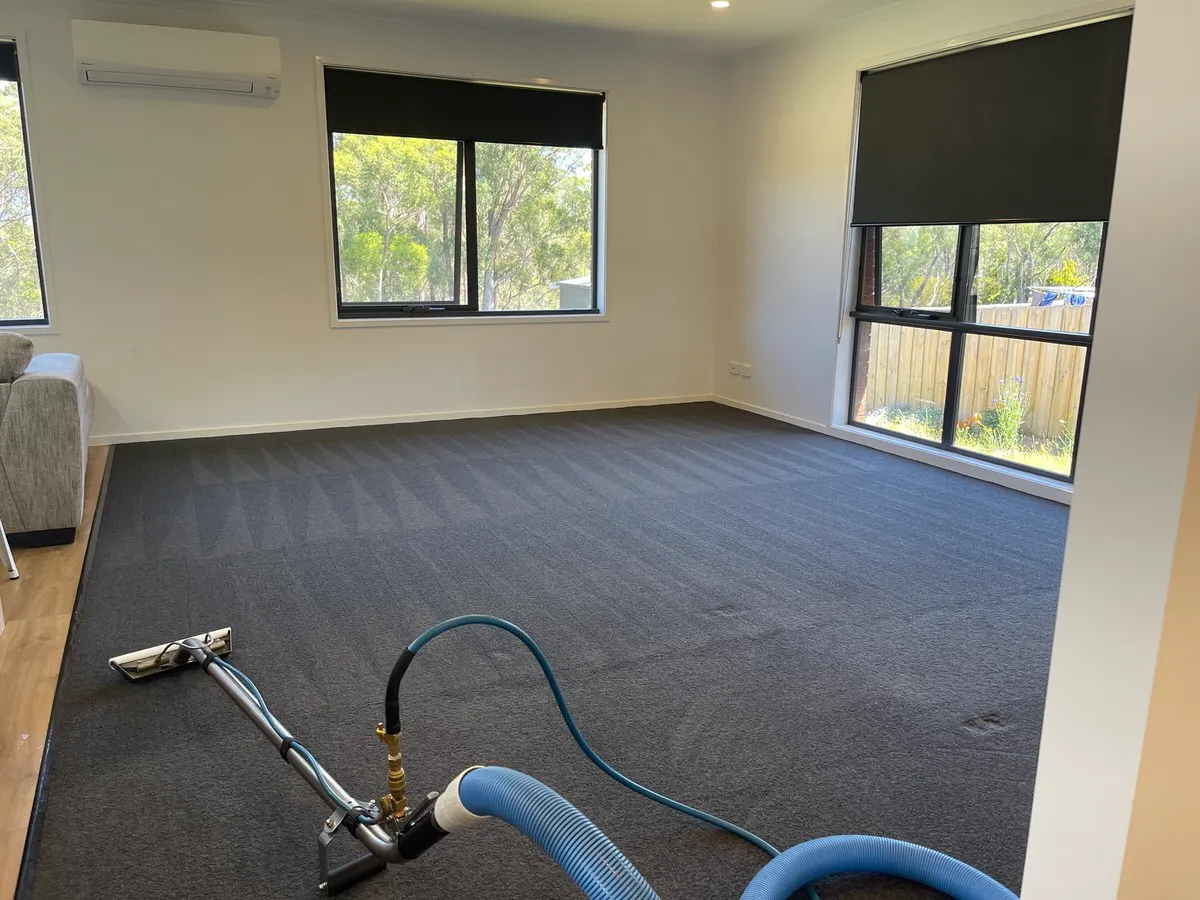 Professional Carpet Cleaning In Hobart Steam Clean Team
