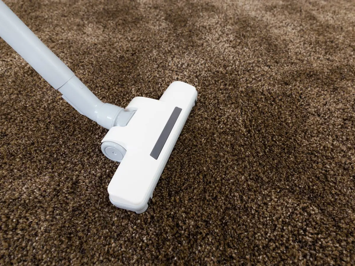 vacuuming shag carpet